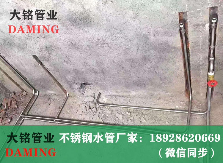 激情69蜜桃一区二区三区卡壓式蜜桃APP污版下载