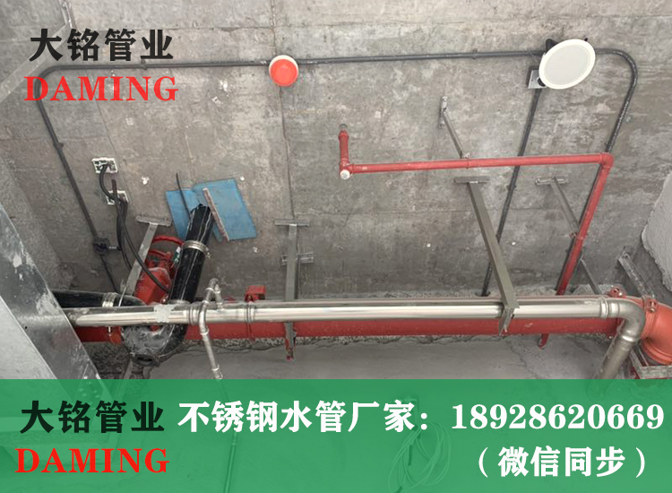 316L激情69蜜桃一区二区三区卡壓管