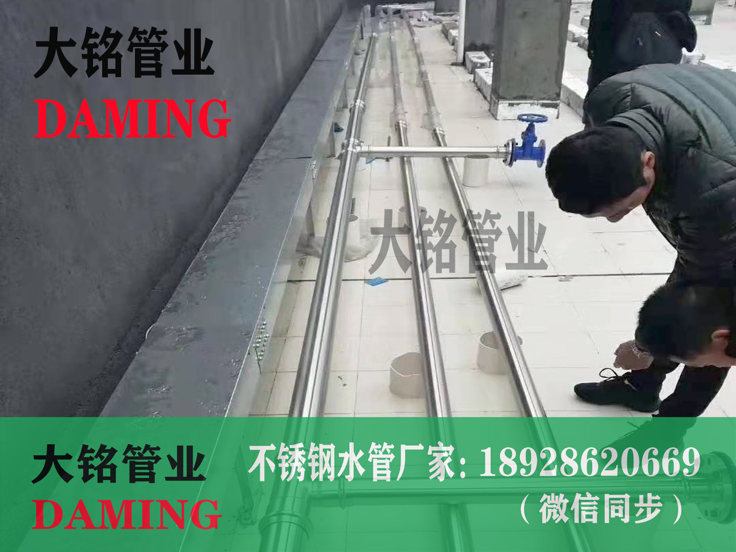 304激情69蜜桃一区二区三区卡壓蜜桃APP污版下载
