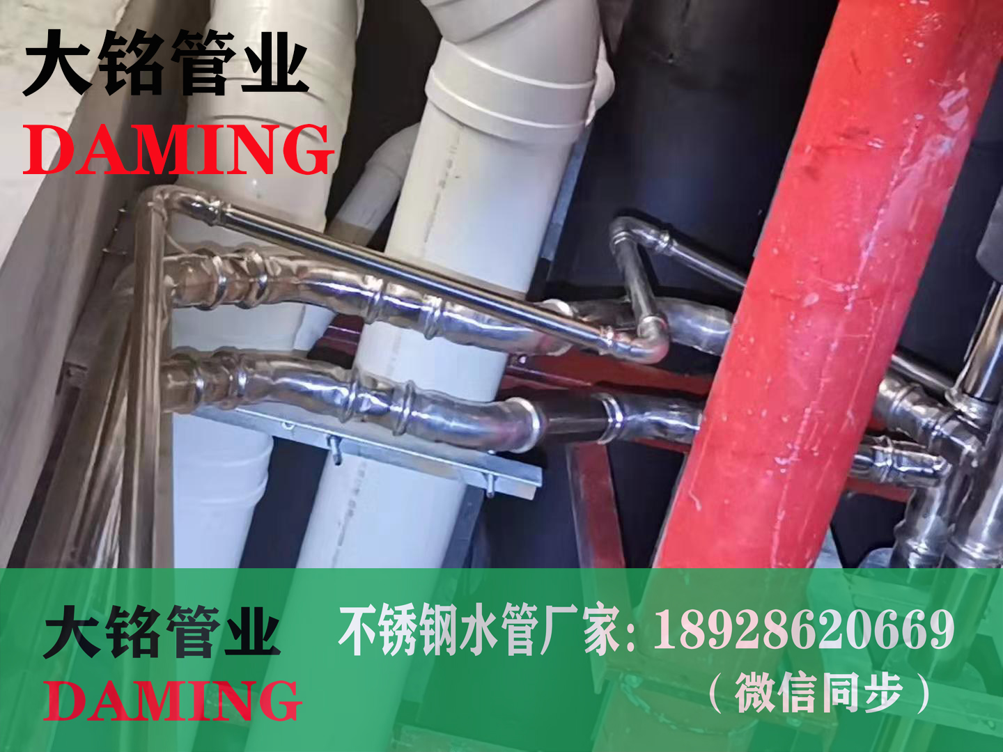 卡壓式蜜桃APP污版下载