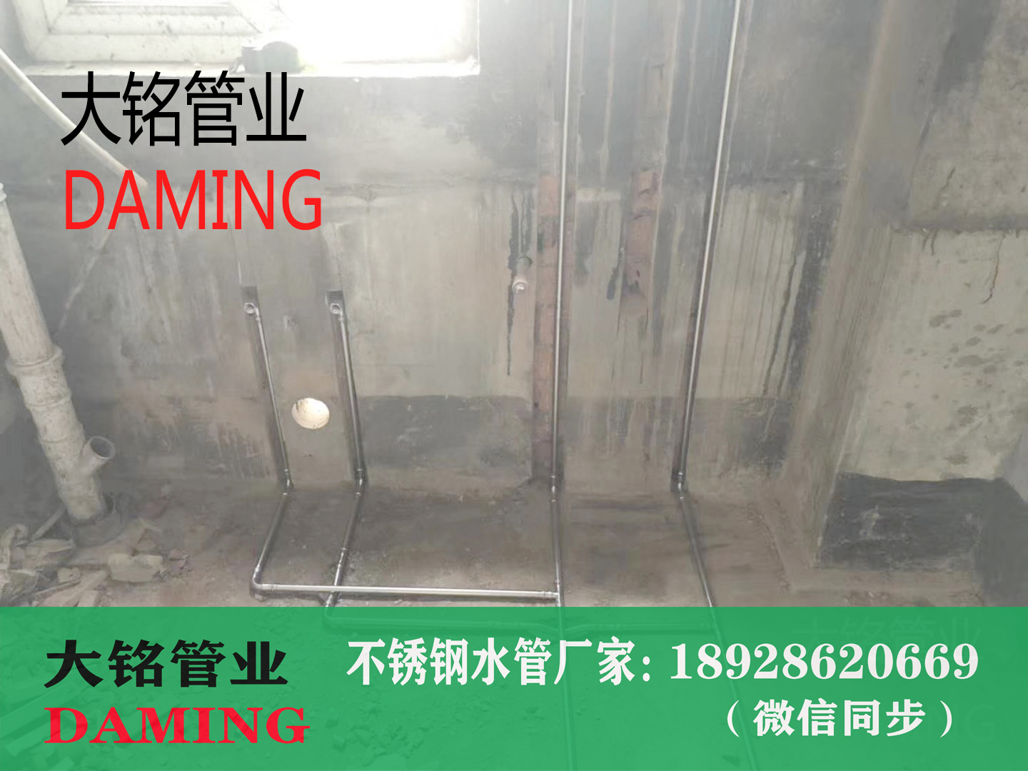 304激情69蜜桃一区二区三区承插焊蜜桃APP污版下载
