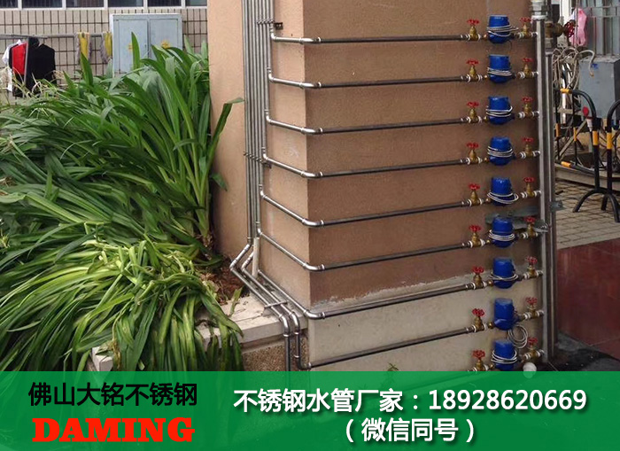 衛生級激情69蜜桃一区二区三区水管